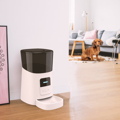 Distributeur de nourriture automatique pour animaux